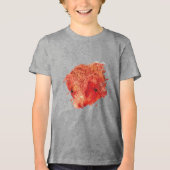 Klammern Tri-Blend Shirt (Vorderseite)