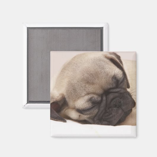 Klang schlafend magnet (Vorderseite/Rückseite)