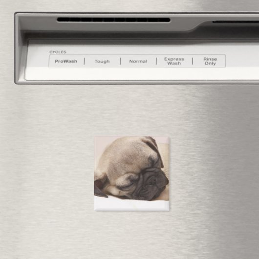 Klang schlafend magnet (In Situ (Geschirrspüler))