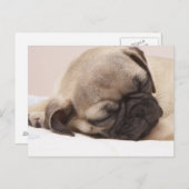 Klang schlafend postkarte (Vorne/Hinten)