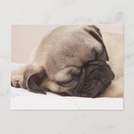 Klang schlafend postkarte (Vorderseite)