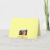 Klappe Sattelkarte - Western Karte (Rückseite)