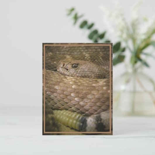 Klapperin Postkarte (Stehend Vorderseite)