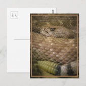 Klapperin Postkarte (Vorne/Hinten)