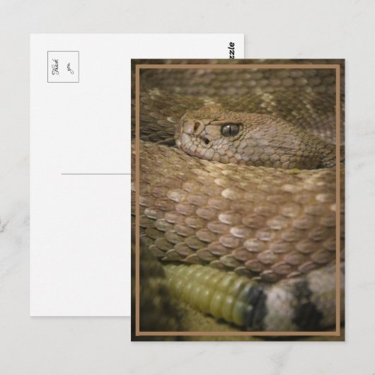 Klapperin Postkarte (Vorne/Hinten)