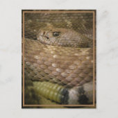 Klapperin Postkarte (Vorderseite)