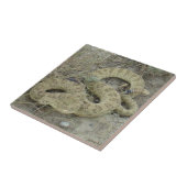 Klapperschlange des Grasland-R20 Fliese (Seite)