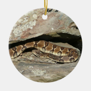 Klapperschlange im Shenandoah National Park Keramikornament