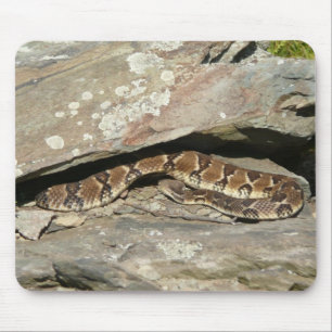 Klapperschlange im Shenandoah National Park Mousepad