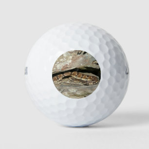 Klapperschlange im Shenandoah-Nationalpark Golfball