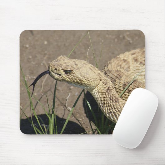 Klapperschlangen-Kopf-Schuss des Grasland-R8 Mousepad (Mit Mouse)