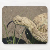 Klapperschlangen-Kopf-Schuss des Grasland-R8 Mousepad (Vorne)