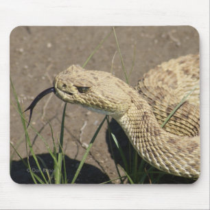 Klapperschlangen-Kopf-Schuss des Grasland-R8 Mousepad