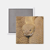 Klapperschlangenkopf Magnet (Vorderseite/Rückseite)