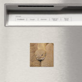 Klapperschlangenkopf Magnet (In Situ (Geschirrspüler))