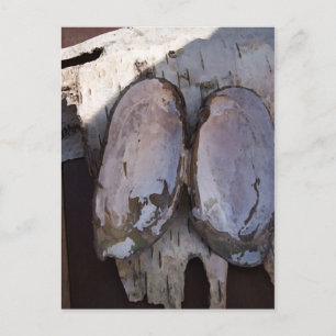 Klappmuschel Engel Birkenrinden-Fotografie-Kunst Postkarte