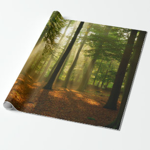 Klare Lichtstrahlen, die durch den Wald strahlen  Geschenkpapier