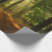 Klare Lichtstrahlen, die durch den Wald strahlen Geschenkpapier (Ecke)