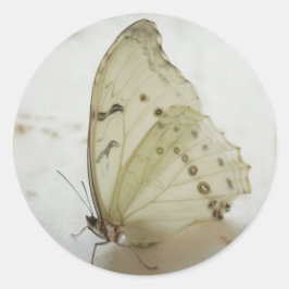 Klare Schmetterlingsblume Siegel / Etikett /Aufkle Runder Aufkleber