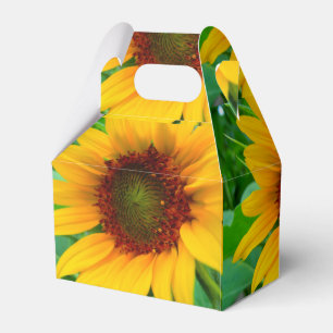 Klare Sonnenblume Geschenkschachtel
