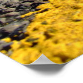 klare Straße Poster (Ecke)