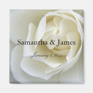 Klare weiße Rose Magnet