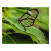 Klarer Flügelschmetterlingsdruck Fotodruck (Vorne)