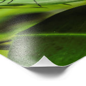 Klarer Flügelschmetterlingsdruck Fotodruck (Ecke)