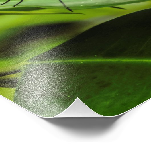 Klarer Flügelschmetterlingsdruck Fotodruck (Ecke)