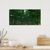 Klarheit der Natur - Extrem Poster (Küche)
