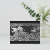 Klarheit Postkarte (Stehend Vorderseite)