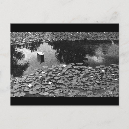 Klarheit Postkarte (Vorderseite)