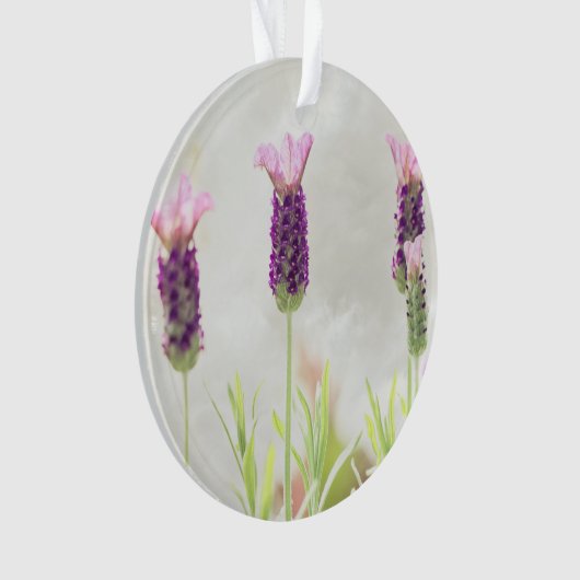 Klarschmuckvorlage Ornament (Vorderseite)