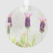 Klarschmuckvorlage Ornament (Rückseite)