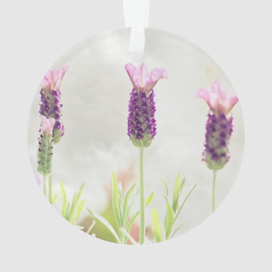 Klarschmuckvorlage Ornament (Rückseite)