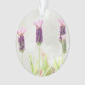 Klarschmuckvorlage Ornament (Vorderseite)