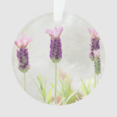 Klarschmuckvorlage Ornament (Vorderseite)