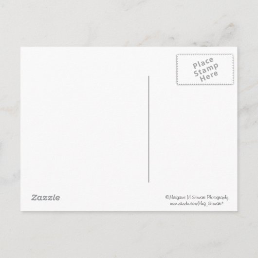 Klasse 2013 Royal Blue Cap Abschluss Postcard Ankündigungspostkarte (Rückseite)