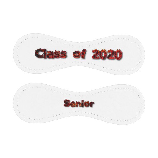 Klasse 2020, Hochrangiger Baseball (Paneele)