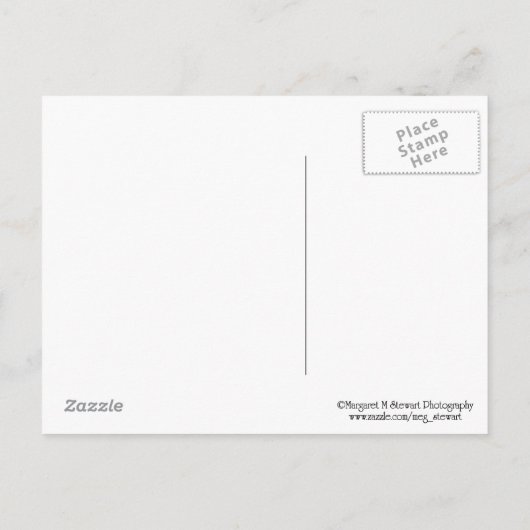 Klasse der Postkarte "Green Cap Abschluss" 2016 (Rückseite)