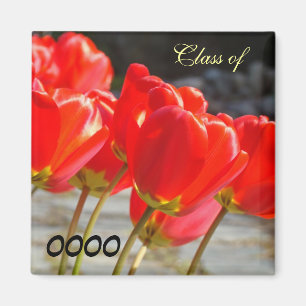 Klasse Schuljahr-Magneten der roten Tulpe-Blumen Magnet