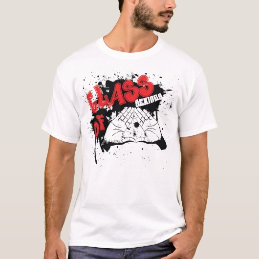 Klasse von 2010 platsch T-Shirt (Vorderseite)