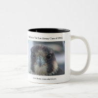 Klasse von Falke-Tasse 2015