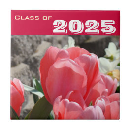 Klasse von Geschenke Abschluss deckt Kunst-rosa Fliese
