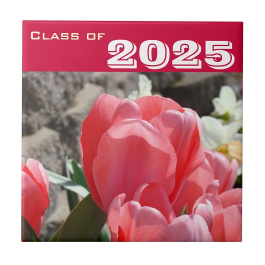 Klasse von Geschenke Abschluss deckt Kunst-rosa Fliese (Vorderseite)
