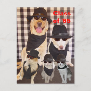 Klasse Wiedersehen Postkarte/Einladung Einladungspostkarte