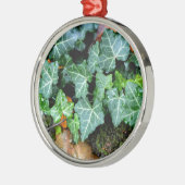 Klassik English Ivy and field stone Silbernes Ornament (Links)