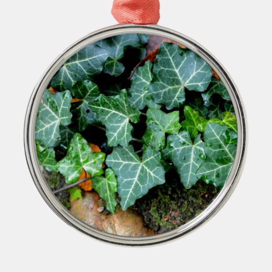 Klassik English Ivy and field stone Silbernes Ornament (Vorne)