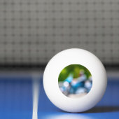 Klassiker Tischtennisball (Netto)
