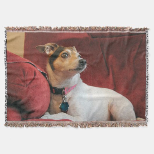 klassisch decke (Vorderseite)